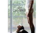 Concours "Canine" places ciné pour deux gagner!