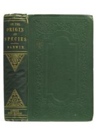 Darwin, la première éditions de l'Origine des espèces vendue 115.000