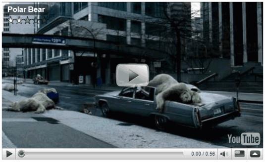 Video: il pleut des ours polaires a cause des avions