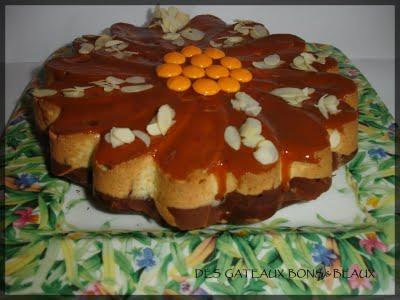CAKE MARBRE CHOCOLAT/VANILLE
