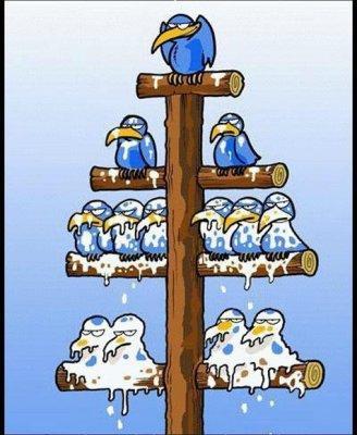 Au Canada les plus riches s'enrichissent