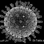 Comment attraper la Grippe A H1N1