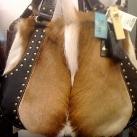 thumbs sac insolite001 Sacs Insolites (51 photos)