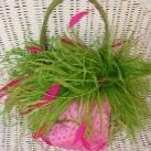 thumbs sac insolite003 Sacs Insolites (51 photos)