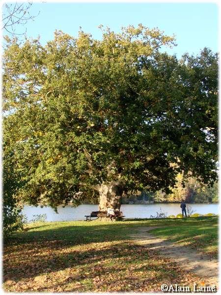 Etang_Marcill__Robert_5