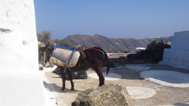 Santorin, un archipel  et une île