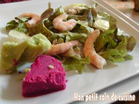 Salade 2 sorbets