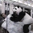 thumbs image insolite 010 Images Droles (74 photos)