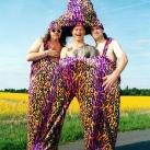 thumbs image insolite 018 Images Droles (74 photos)