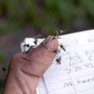 thumbs image insolite 021 Images Droles (74 photos)