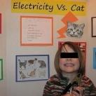 thumbs image insolite 032 Images Droles (74 photos)