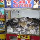 thumbs image insolite 048 Images Droles (74 photos)