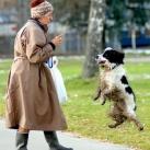 thumbs image insolite 005 Images Droles (74 photos)