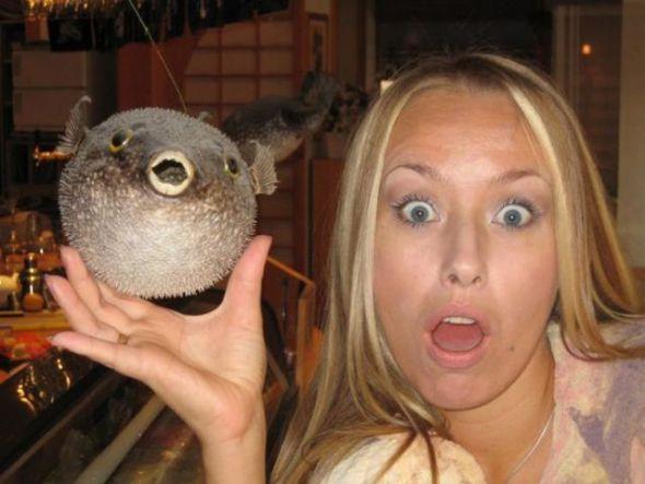 les blondes001 Les Blondes (58 photos)