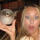 thumbs les blondes001 Les Blondes (58 photos)