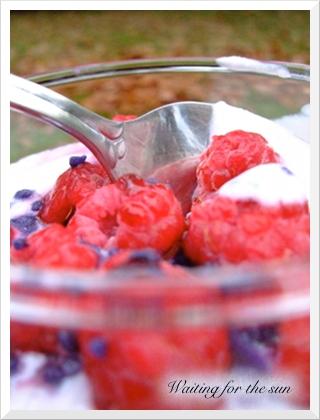 ≈ FROMAGE BLANC AU SIROP DE VIOLETTE ET AUX FRAMBOISES ≈