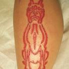 thumbs la scarification 009 La scarification (42 photos)