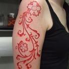 thumbs la scarification 016 La scarification (42 photos)