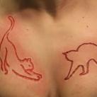 thumbs la scarification 028 La scarification (42 photos)