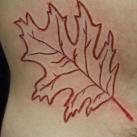 thumbs la scarification 040 La scarification (42 photos)