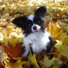 thumbs animaux droles 19 Animaux droles (40 photos)