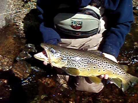 Pêche de la truite en Suède