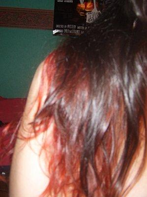 Les nouveautées + TGS