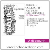 Le livre RECUEIL COLLECTIF RATURES