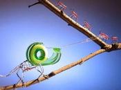 auriez-vous pensé idées créatives