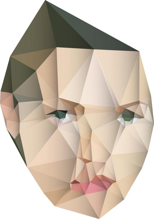 Jonathan Puckey Delaunay Raster