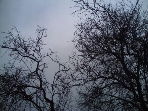 ciel st vallier 30 novembre 2009.jpg