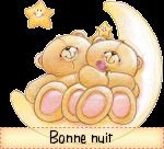 BOMBE GLACEE AU CHOCOLAT