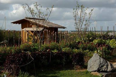 les choses que j'ai à dire