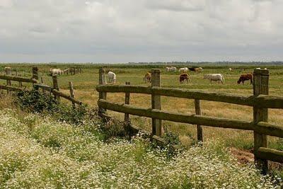 les choses que j'ai à dire