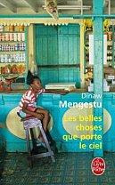 Les belles choses que porte le ciel – Dinaw Mengestu