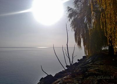 Automne à Neuchâtel le 19 novembre 2009