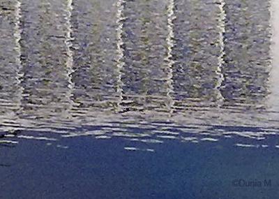 Automne à Neuchâtel le 19 novembre 2009