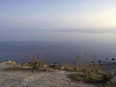 Automne à Neuchâtel le 19 novembre 2009