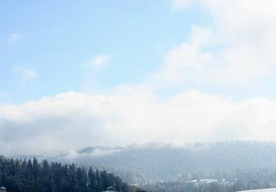 La Chaux-de-Fonds: 11 novembre 2009