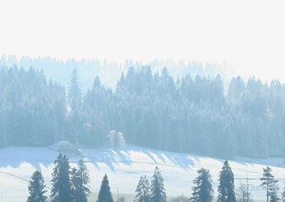 La Chaux-de-Fonds: 11 novembre 2009