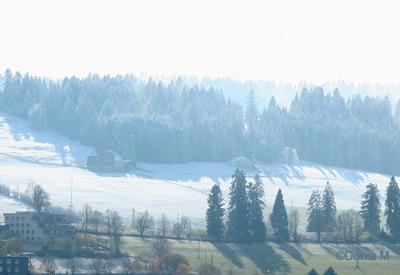 La Chaux-de-Fonds: 11 novembre 2009