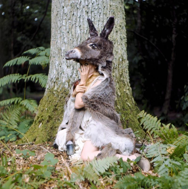 Phénomène (Jean Follain)