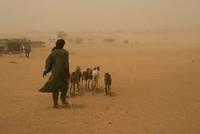 Les conséquences humanitaires des changements climatiques au Mali