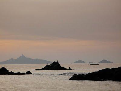 La Corse de ma Minana