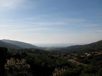 La Corse de ma Minana