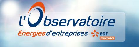 Logo - EDF - Observatoire Energies d'Entreprises