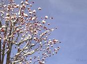 Photos jour: décembre 2009