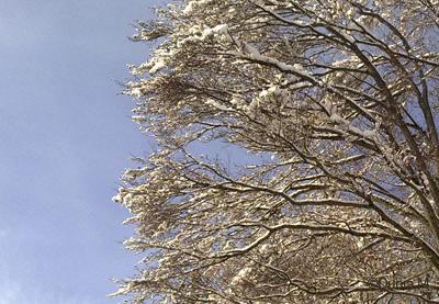 La Chaux-de-Fonds: neige 2 décembre 2009