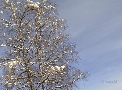 La Chaux-de-Fonds: neige 2 décembre 2009