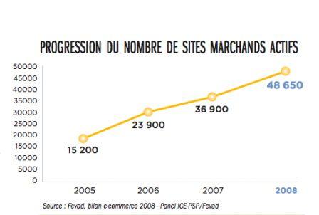 Les chiffres 2008 / 2009 du ecommerce